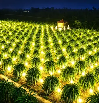 Kênh Nông Nghiệp